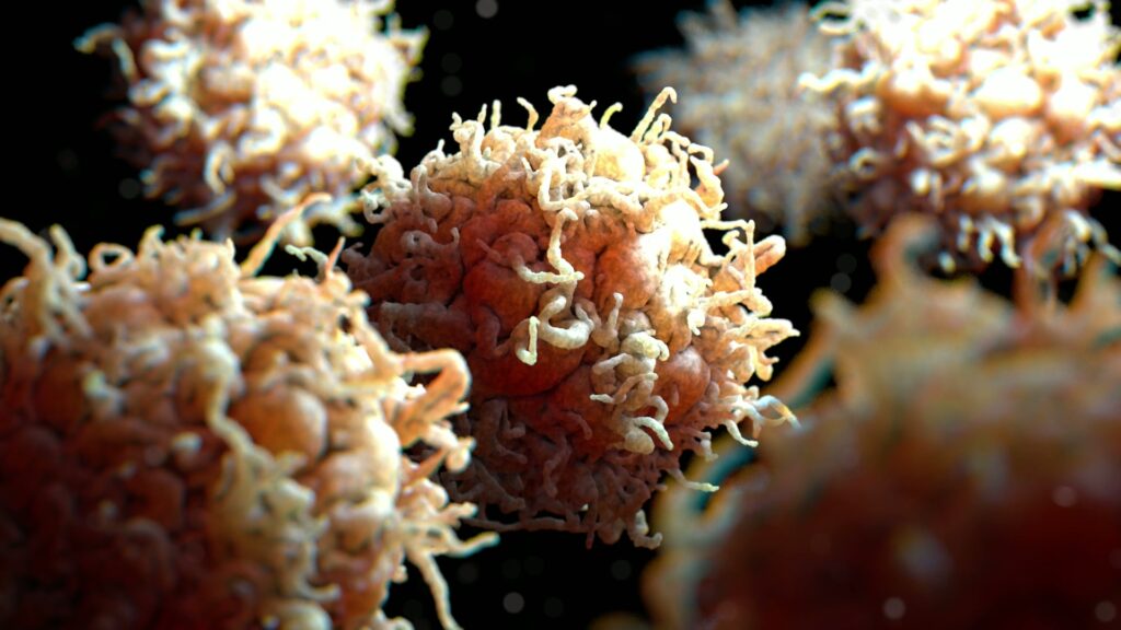 The video features a close-up 3D animation of several white blood cells.