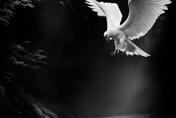 Majestic white bird soaring through a dark, misty forest.