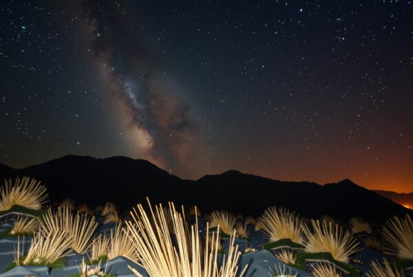 Vibrant starry sky above mountains.