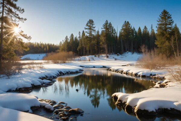 A serene winter river scene with sunlight filtering through trees and bright reflections on calm water.