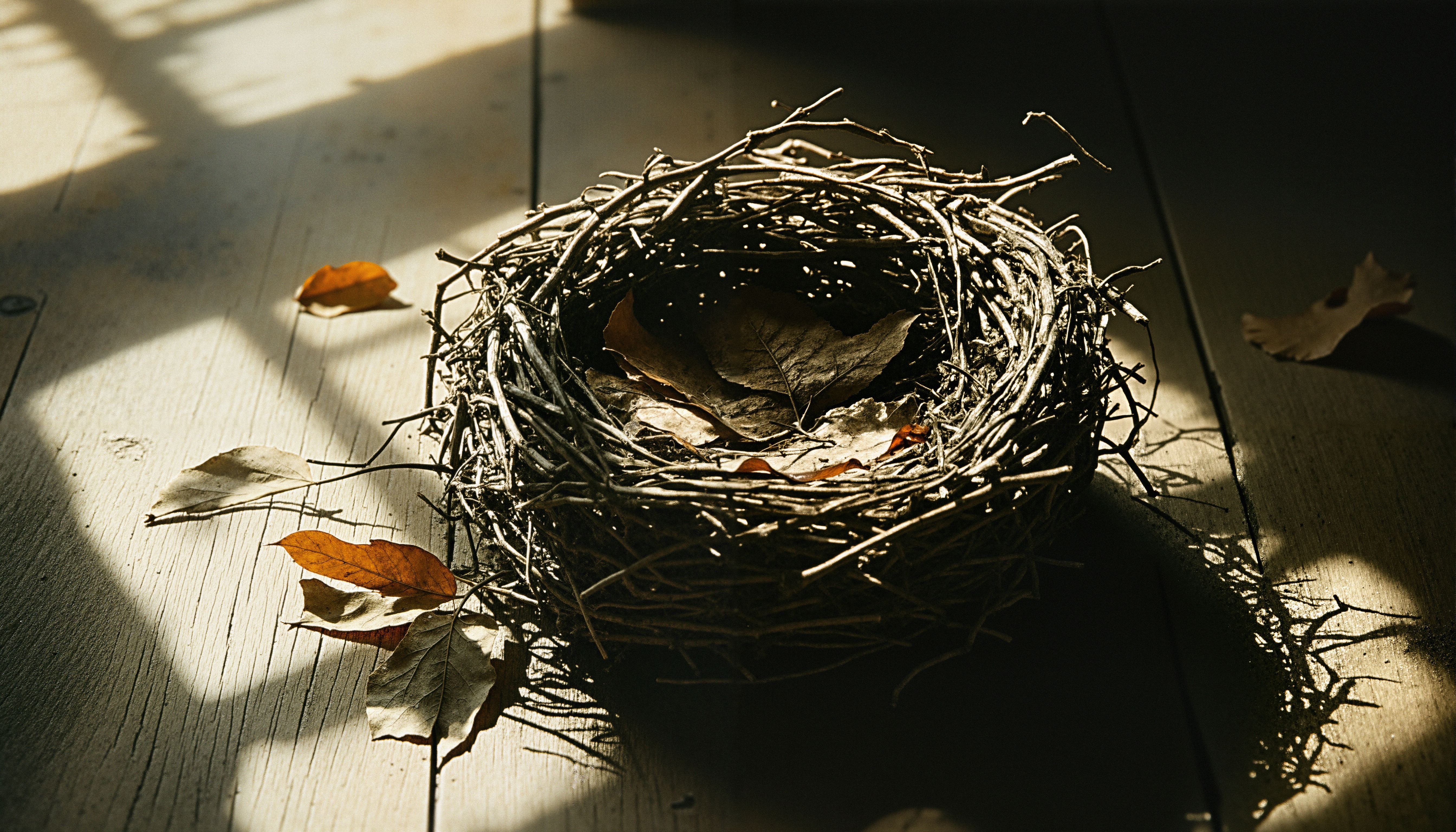 Nature’s Intricate Autumnal Nest