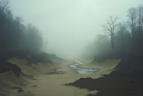 A foggy, desolate landscape featuring a dry, sandy riverbed.