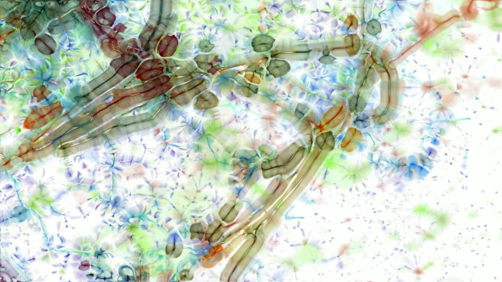 Abstract video loop with vibrant organic swirls.