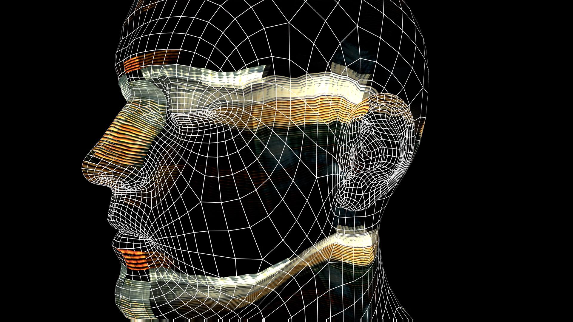 Digital Head Wireframe 3D Animation Loop