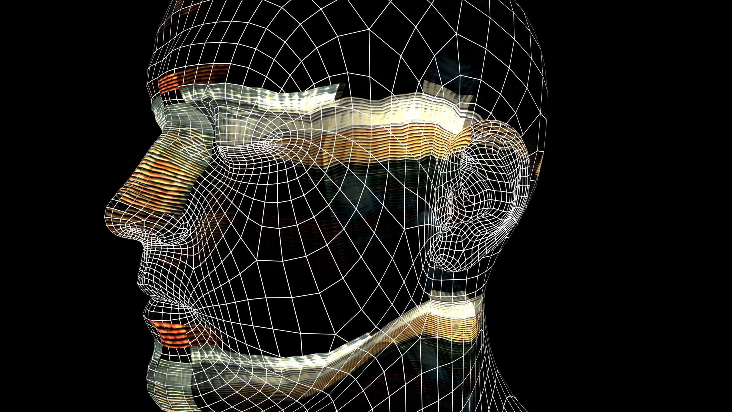 Digital Head Wireframe 3D Animation Loop