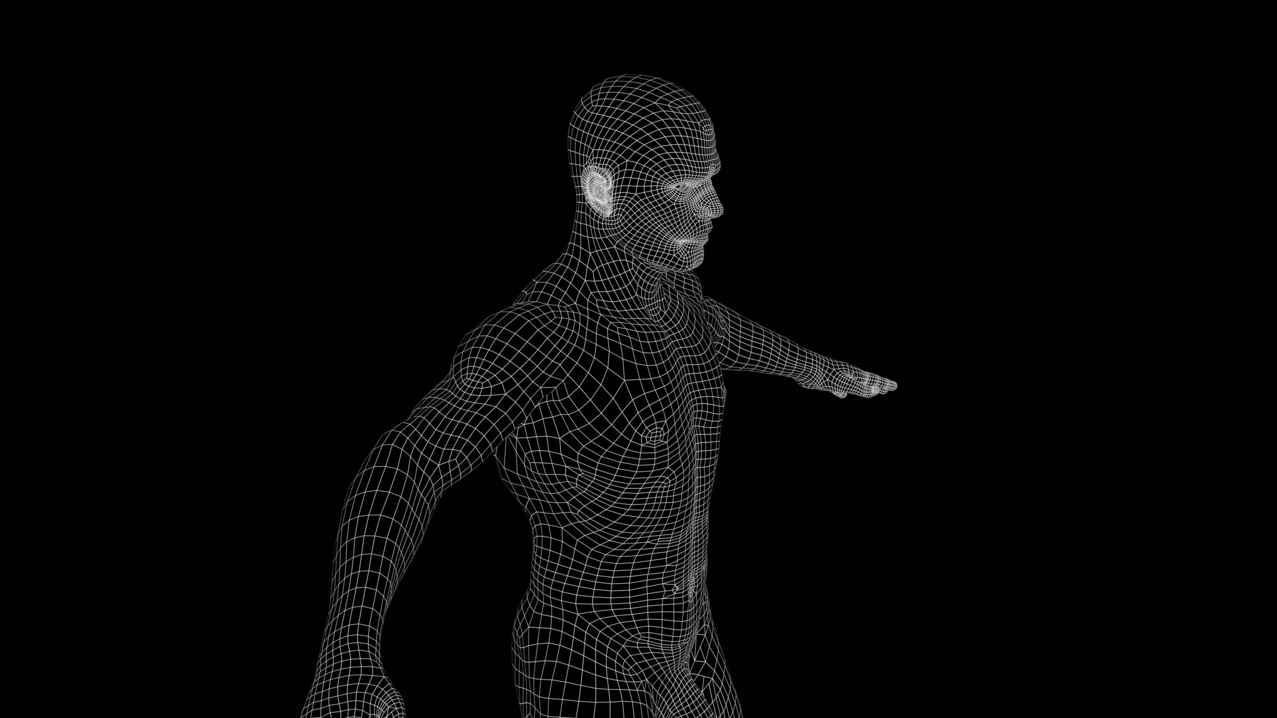 Digital Wireframe of Human Figure 4K Loop