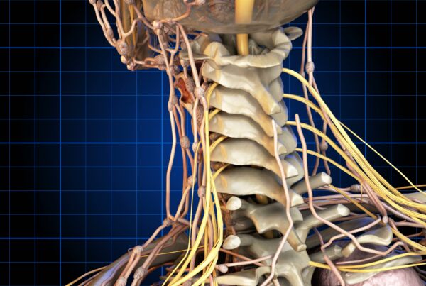 Detailed 4K video loop showcasing cervical spine anatomy with nerves and vertebrae highlighted against a blue grid background.