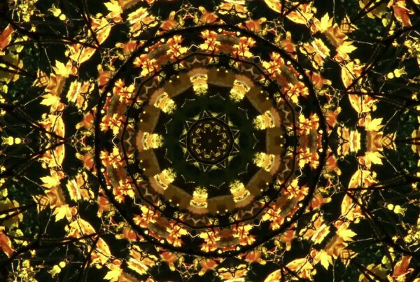 Intricate golden leaf kaleidoscope mandala video loop.