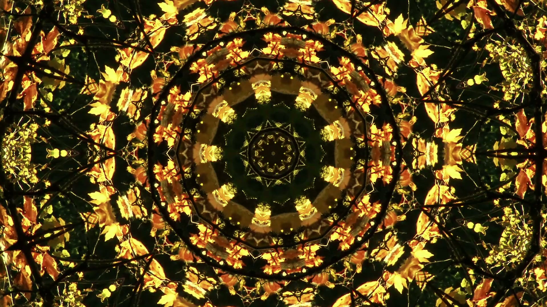 Golden Leaves Kaleidoscope Mandala Loop