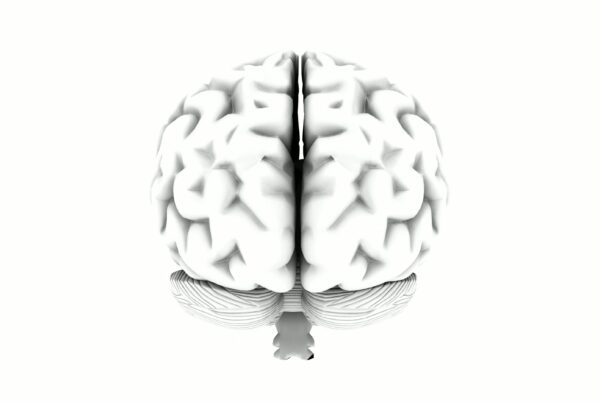 Video loop animation of a rotating human brain on a white background, highlighting cerebrum, cerebellum, and brainstem.