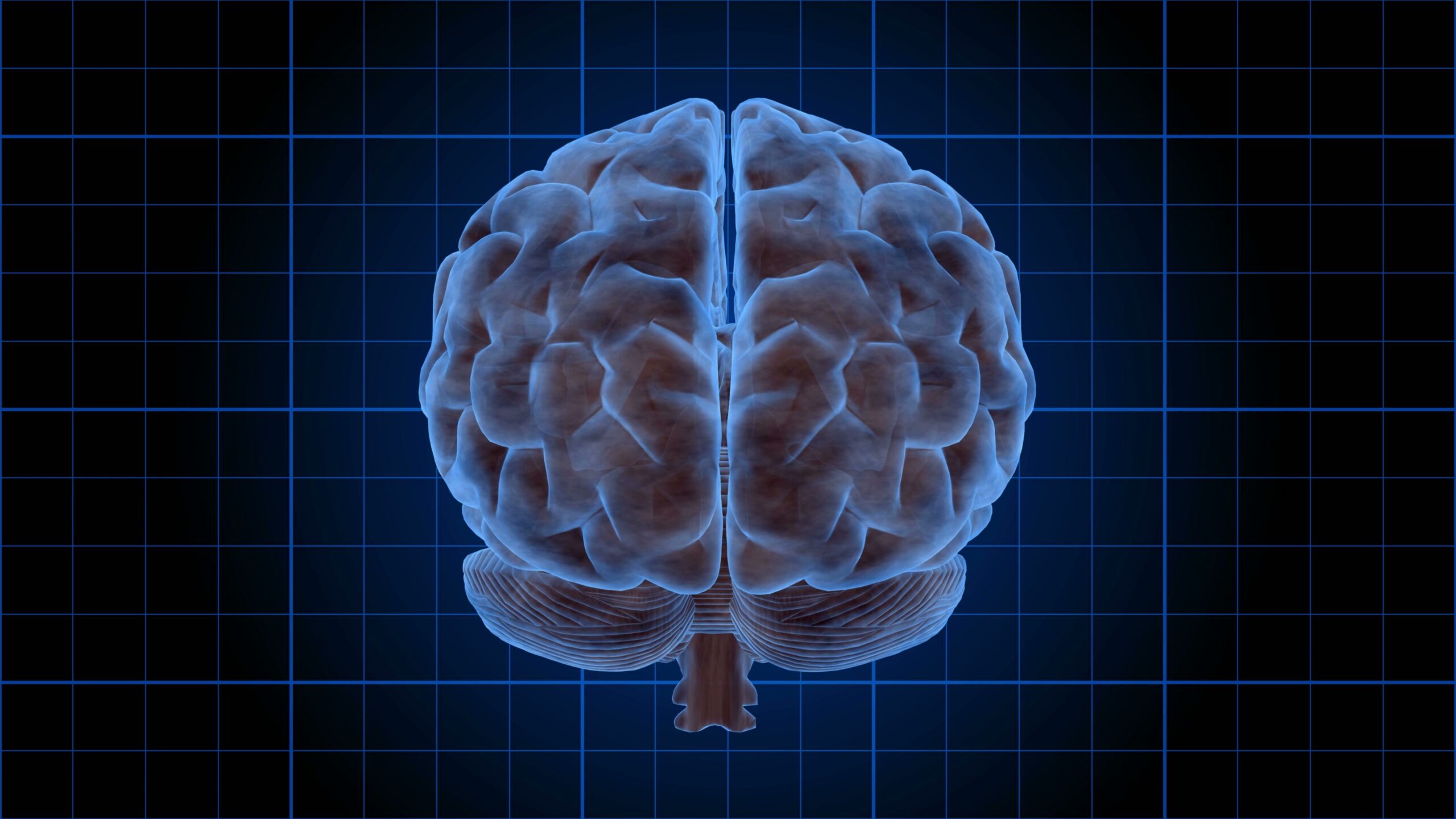 Futuristic Brain on Blue Grid 4K Loop