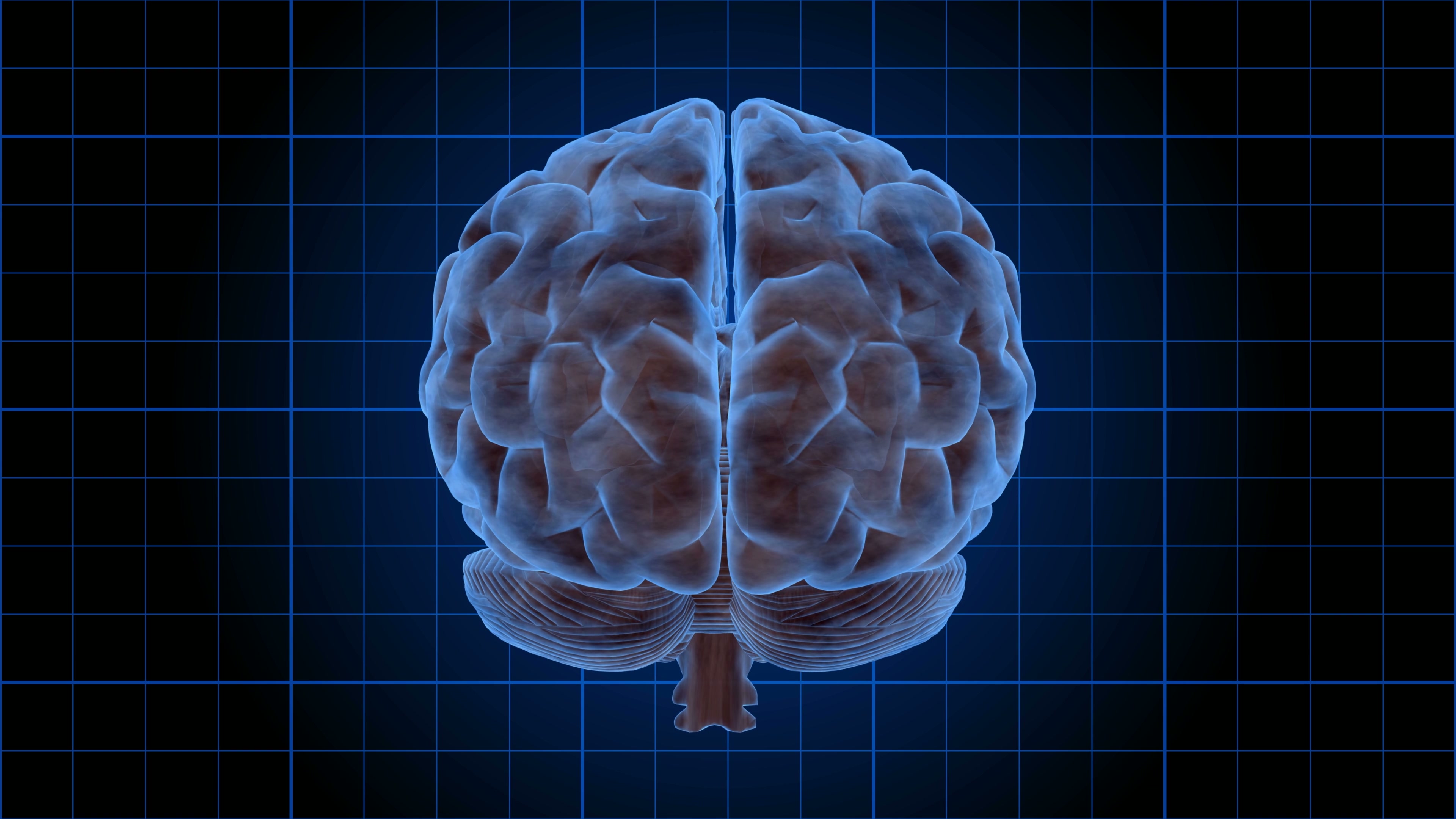 Futuristic Brain on Blue Grid 4K Loop