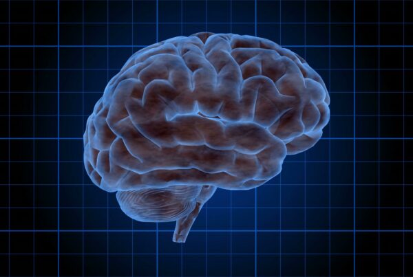 Animation loop of a glowing human brain rotating against a blue grid background, depicting scientific and technological exploration in neurology.