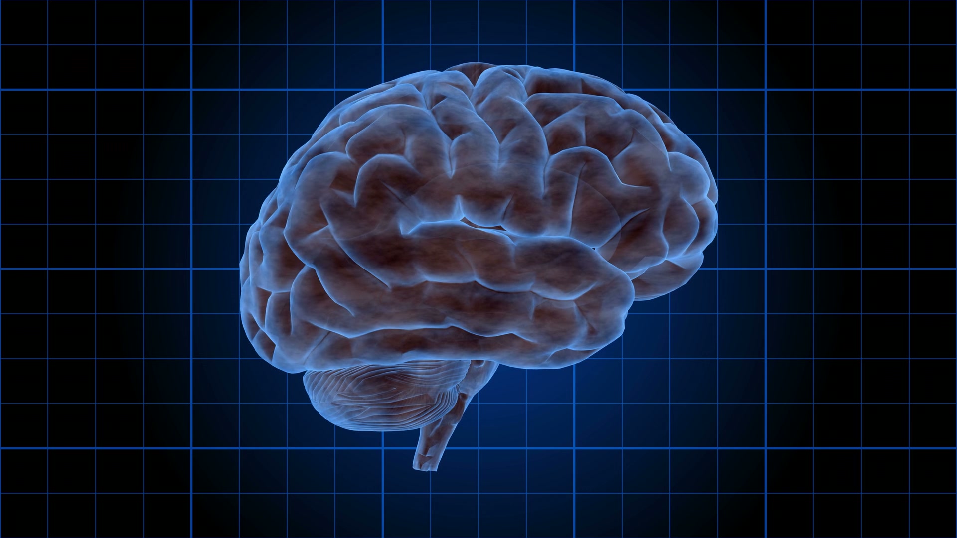 Illuminated Human Brain on Grid Loop