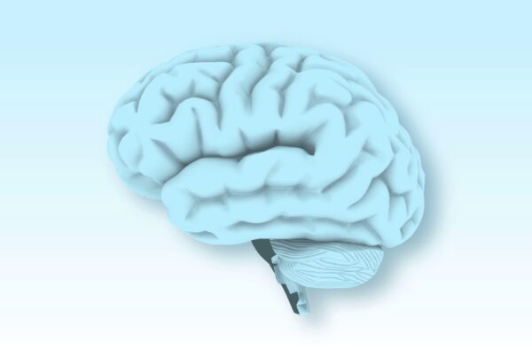 3D rendering of a rotating, light blue human brain with visible hemispheres and cerebellum on a soft gradient background.
