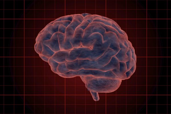 4K video loop animation of a rotating human brain showcasing detailed anatomical structures with a red grid background.