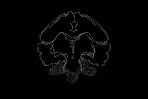 Intricate wireframe brain scan on black 4K video background.