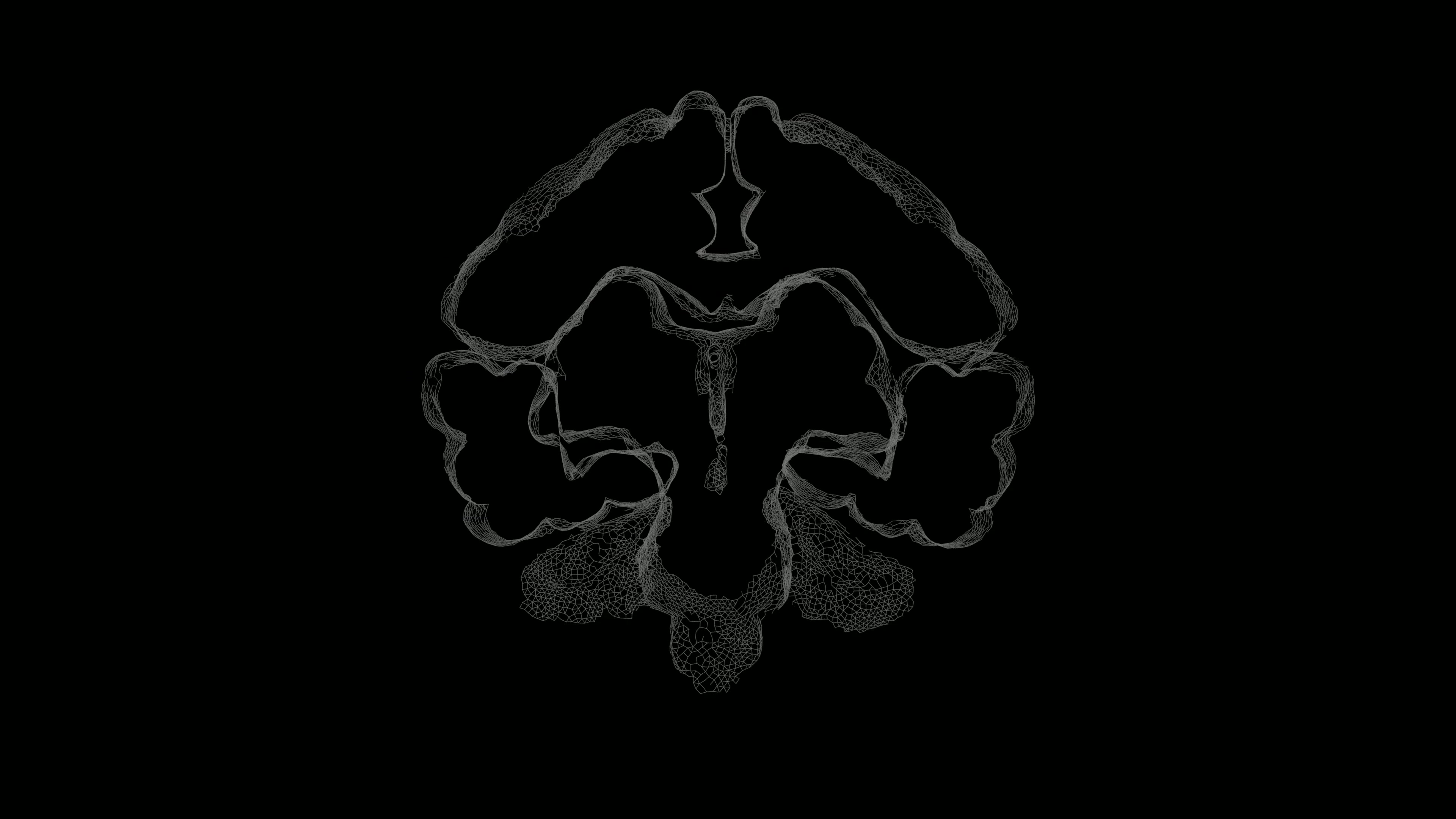 Wireframe Brain Scan Visualization 4K Video