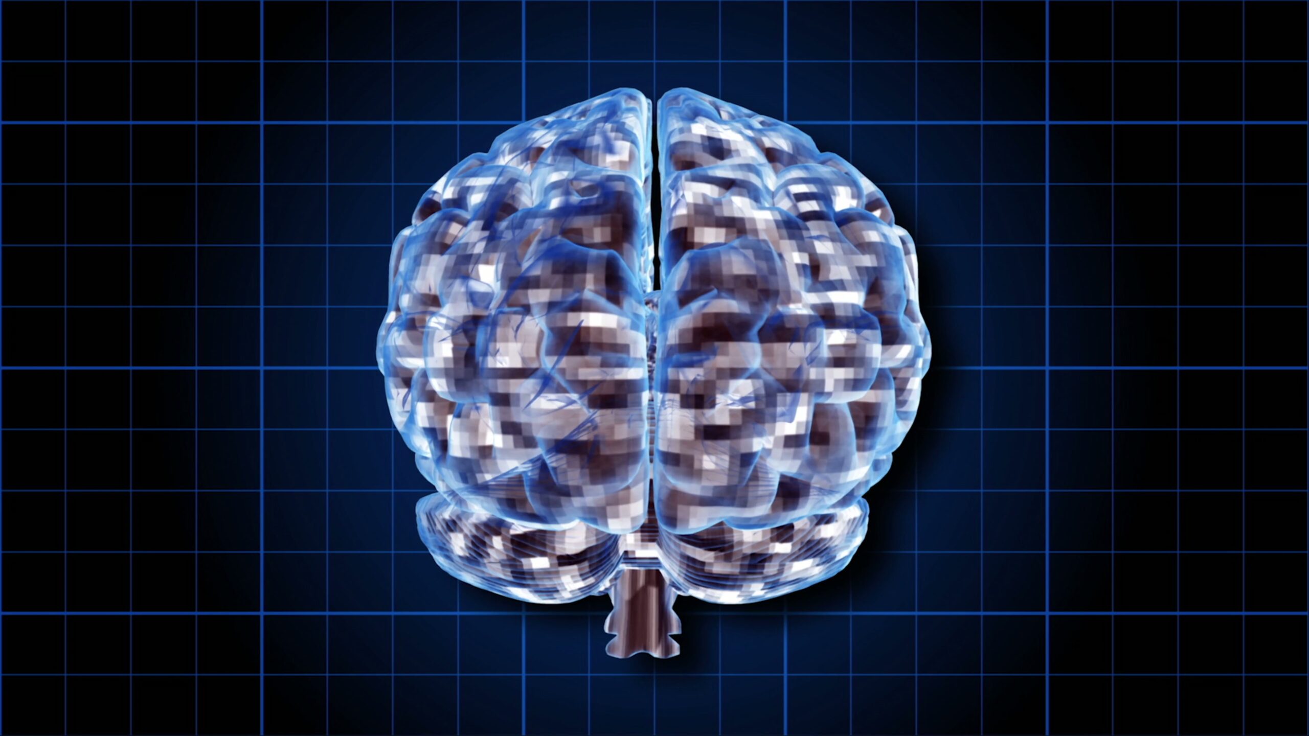 Brainstorn Digital Grid Conceptual 4K Video Loop