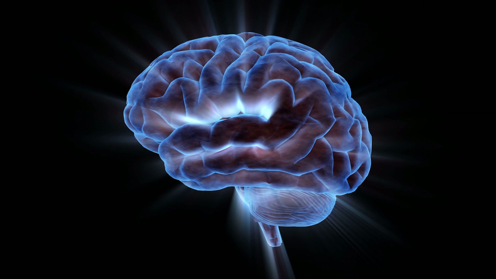 Illuminated Brain Brainstorming Loop