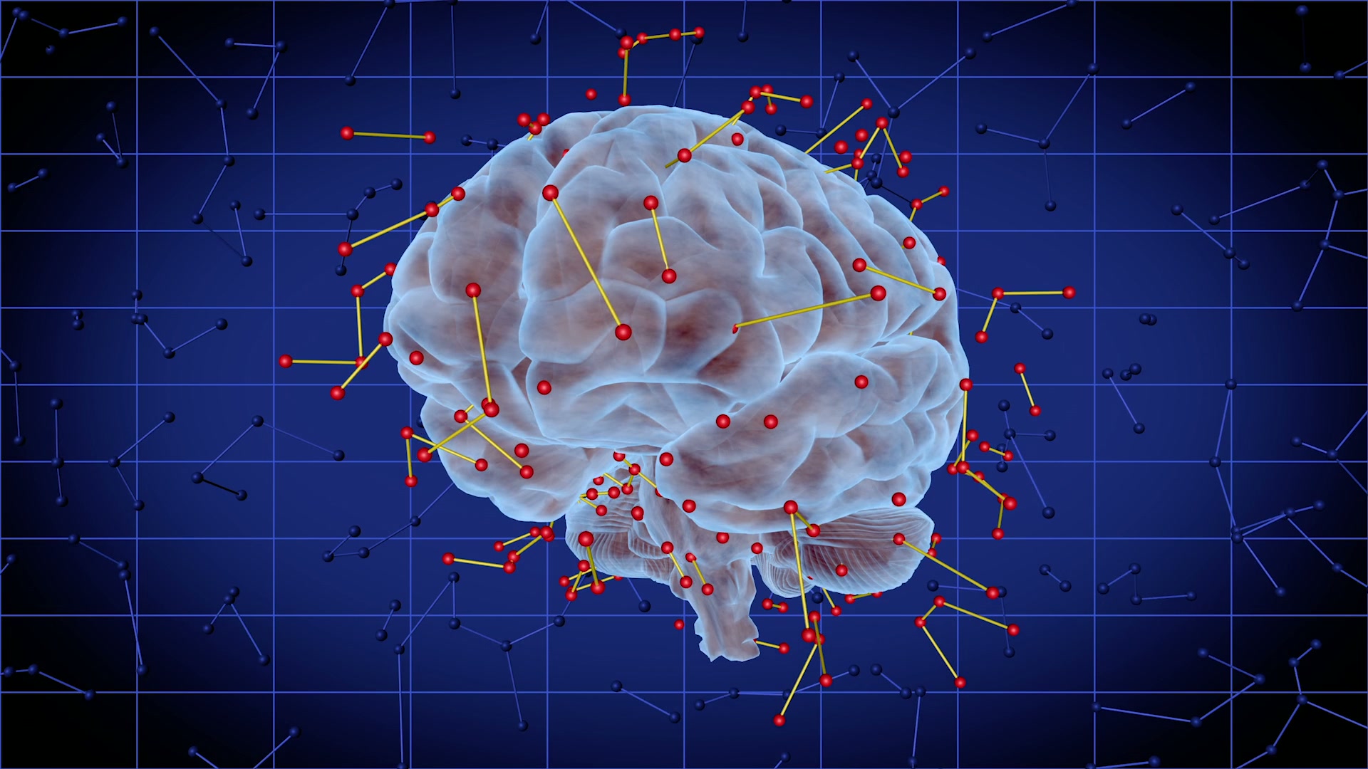 Human Brain with Network Connections Loop