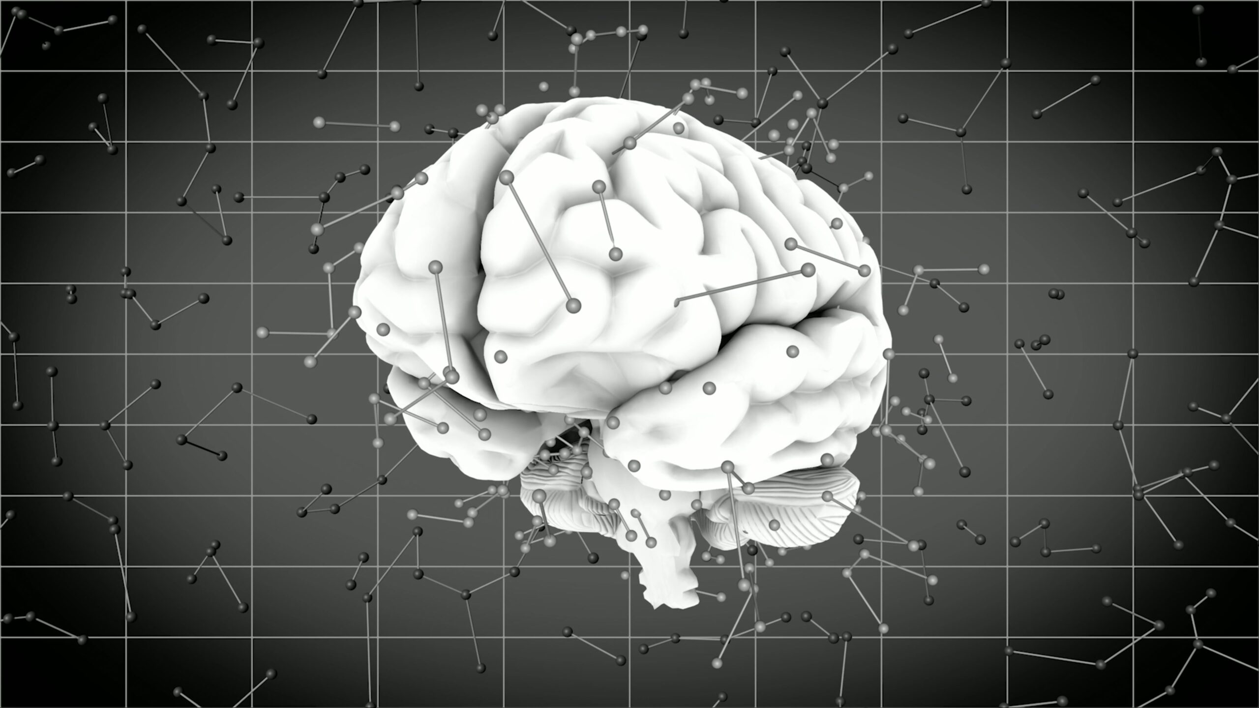 Digital Brain Network Visualization 3D Animation Loop