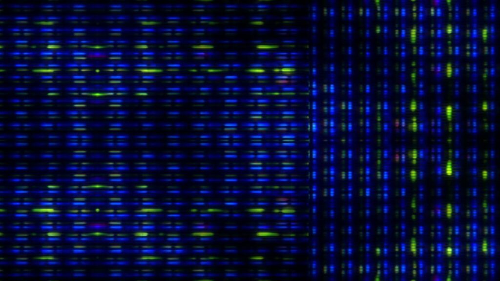 Vibrant Digital Screen Grid Loop