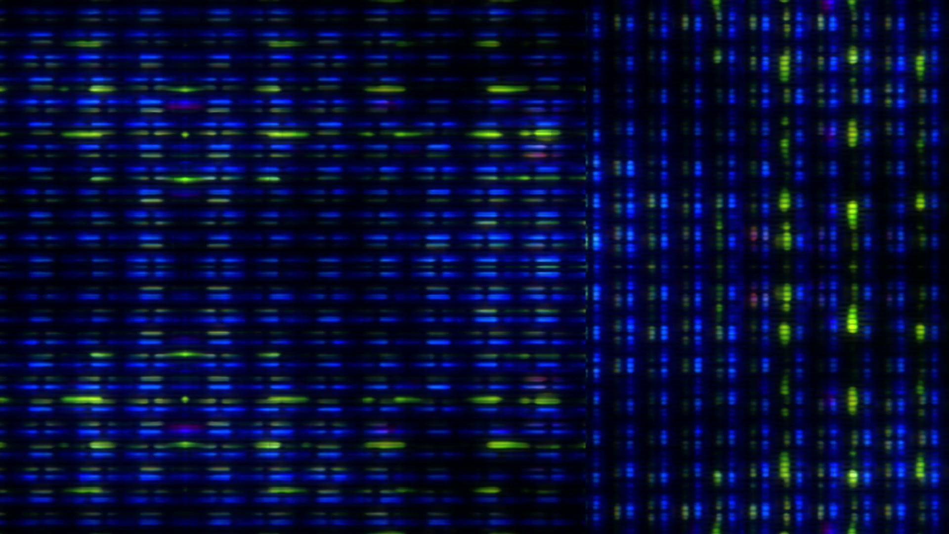 Vibrant Digital Screen Grid Loop