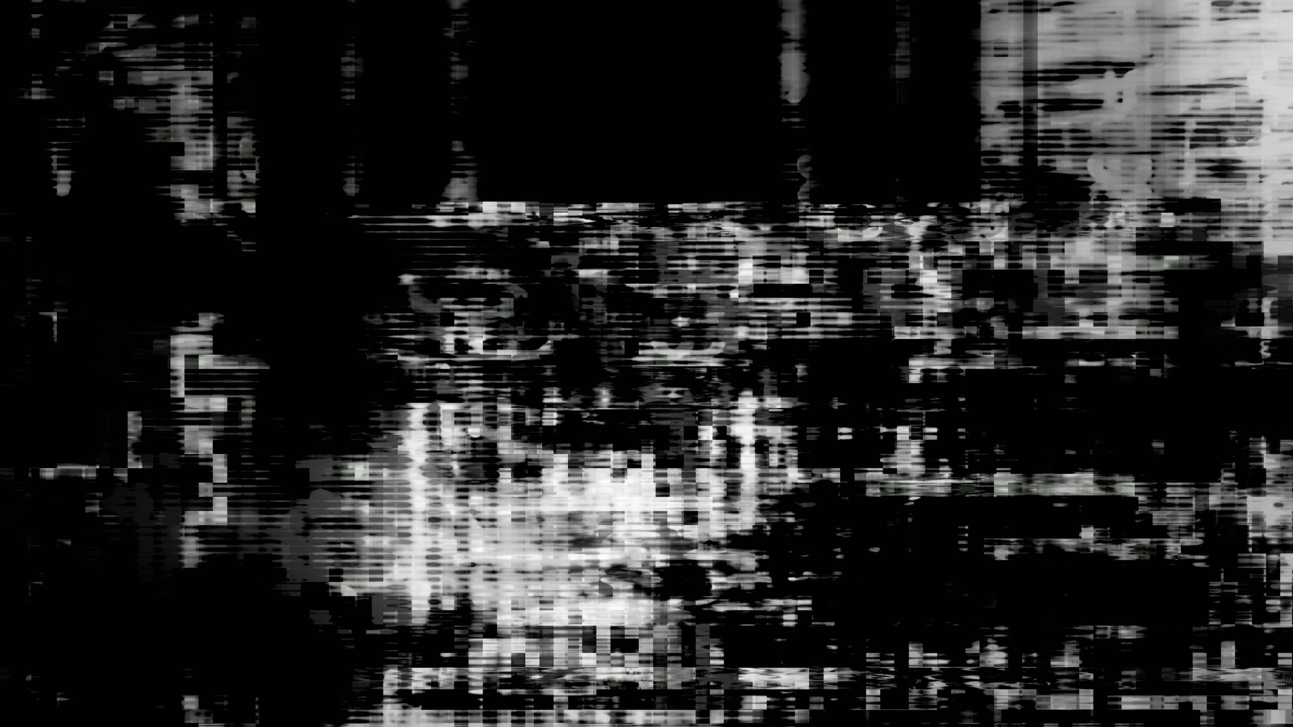 Glitch Art in Monochrome 4K Loop