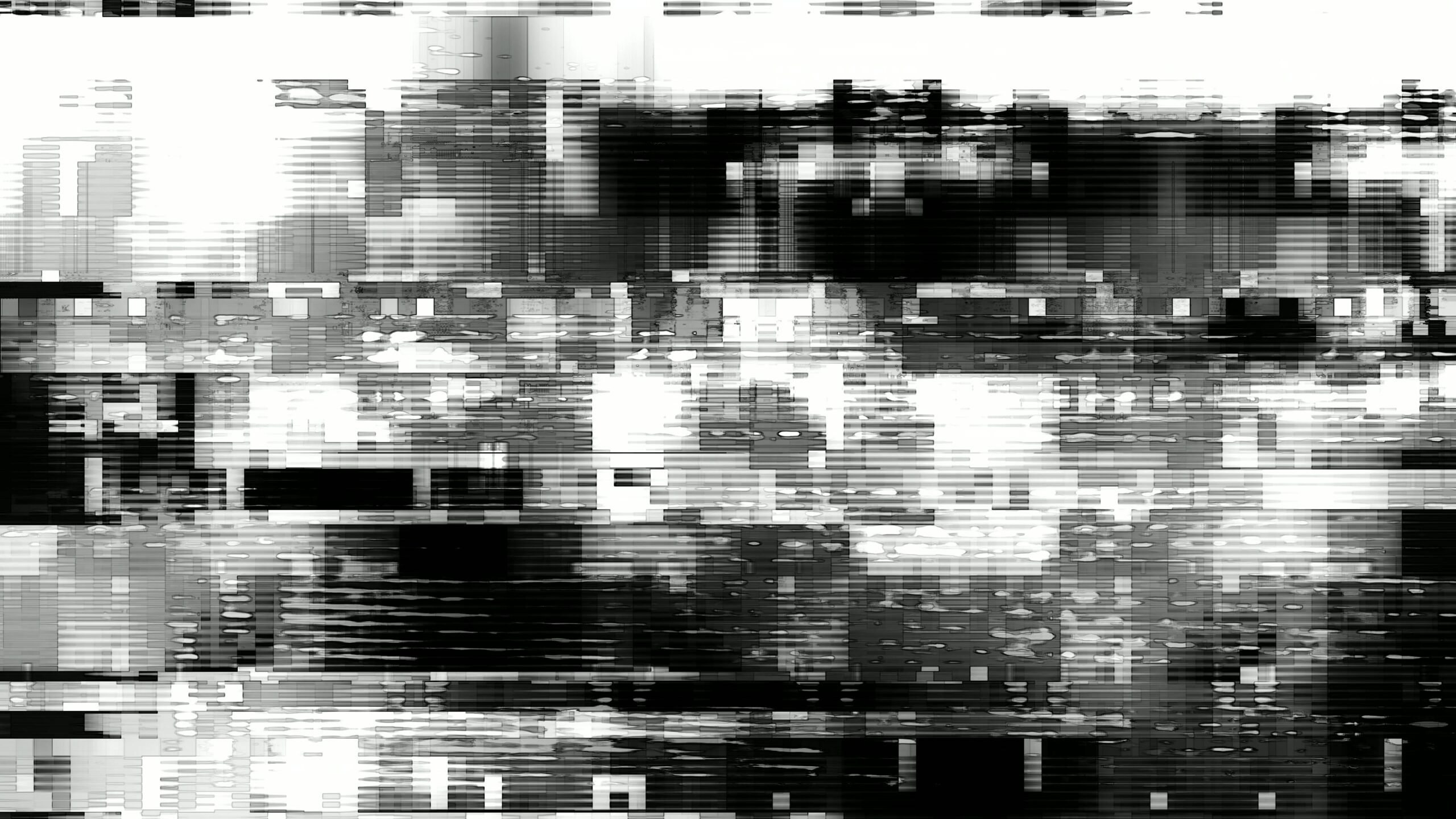 Digital Black and White Glitch 4K Loop