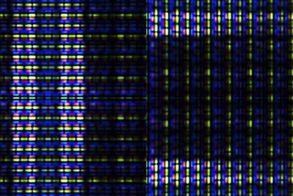 Close-up video loop of vibrant digital pixel patterns with blue, green, and purple hues in grid formations, showcasing electronic data structures.