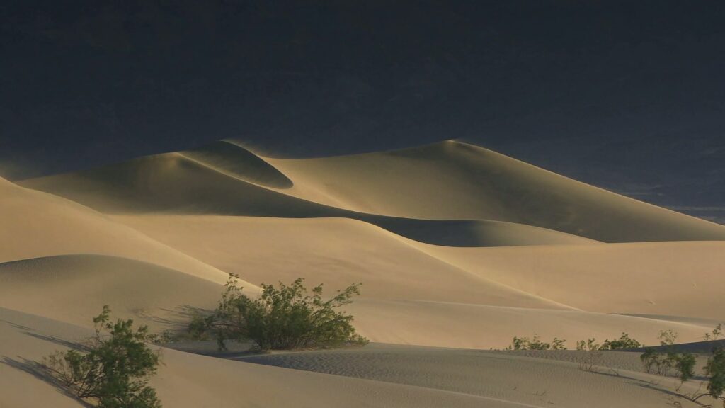 A serene desert video landscape dominated by expansive sand dunes under a deep blue sky.