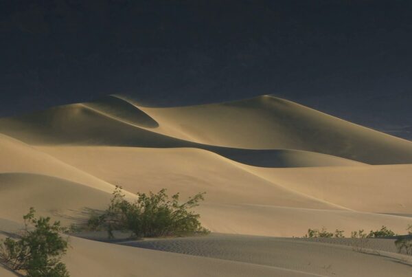 A serene desert video landscape dominated by expansive sand dunes under a deep blue sky.