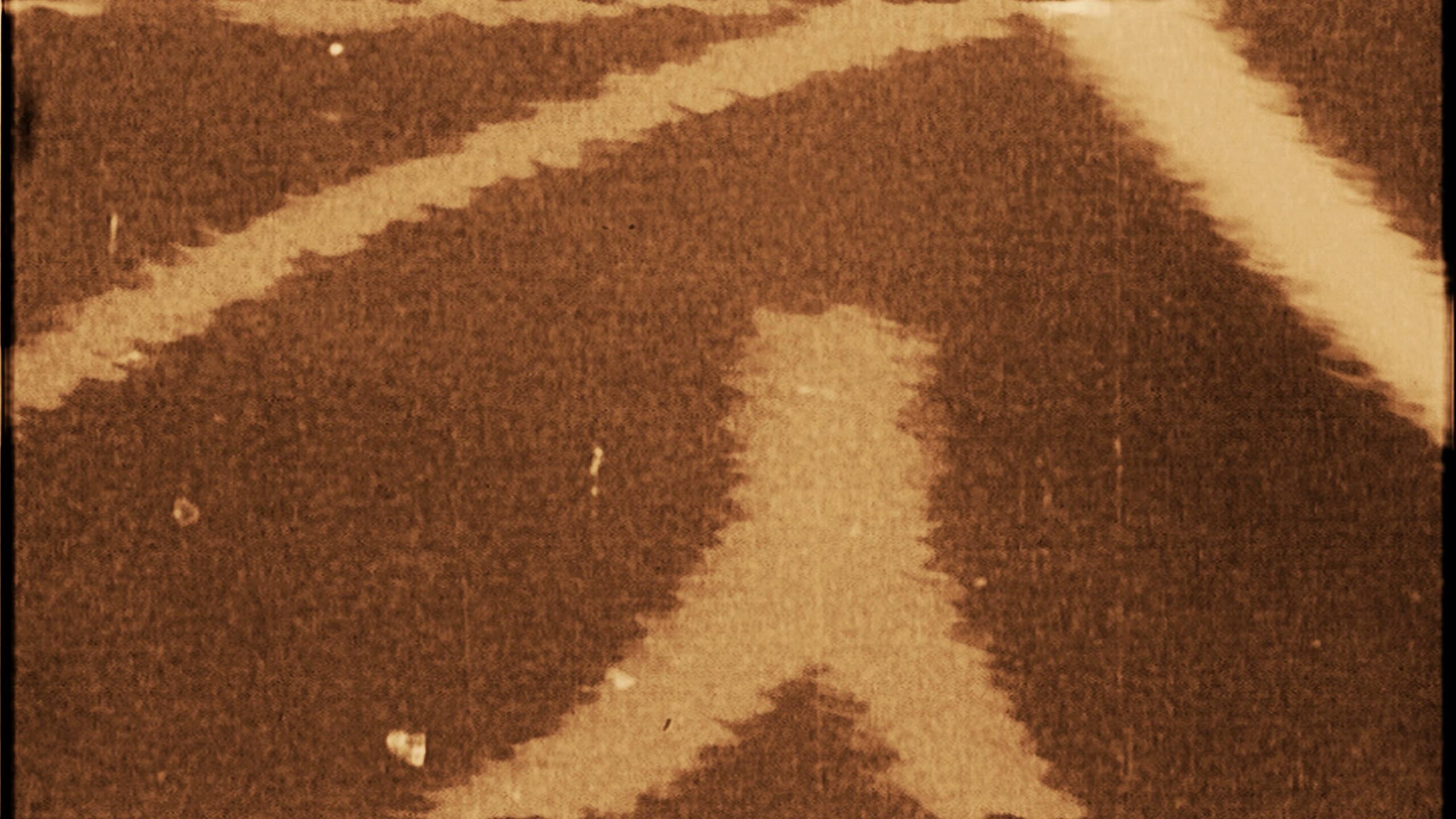 Forgotten Paths Through 16mm Time 4K Loop