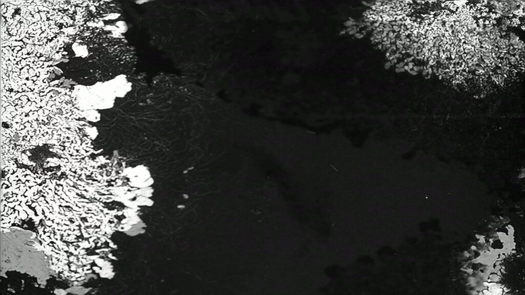 Flickering Film Leader Damage Video Loop