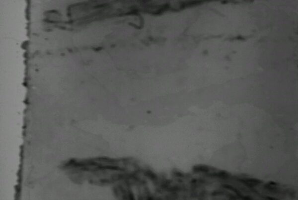 Abstract grayscale film leader with splices, punch holes, writing and film damage.
