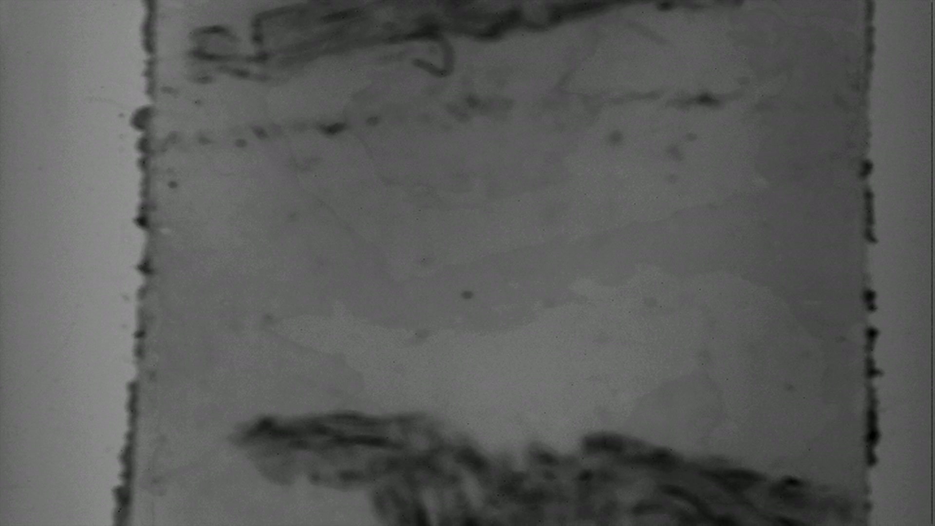 Abstract Grayscale Film Damage with Splices Loop