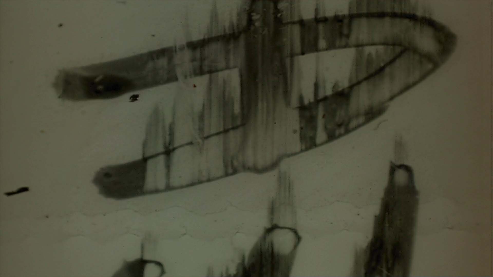 Film Leader with Dust and Scratches Loop