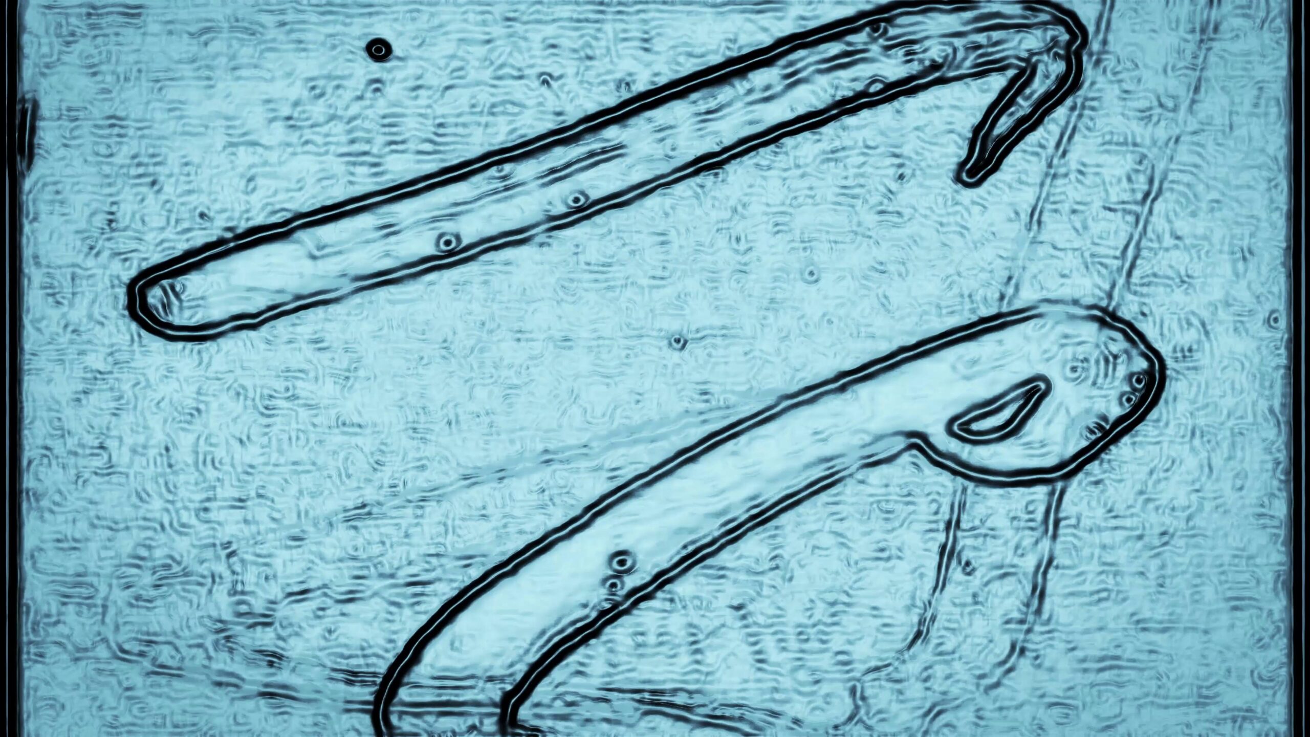 Abstract Digital Texture 4K Video Loop