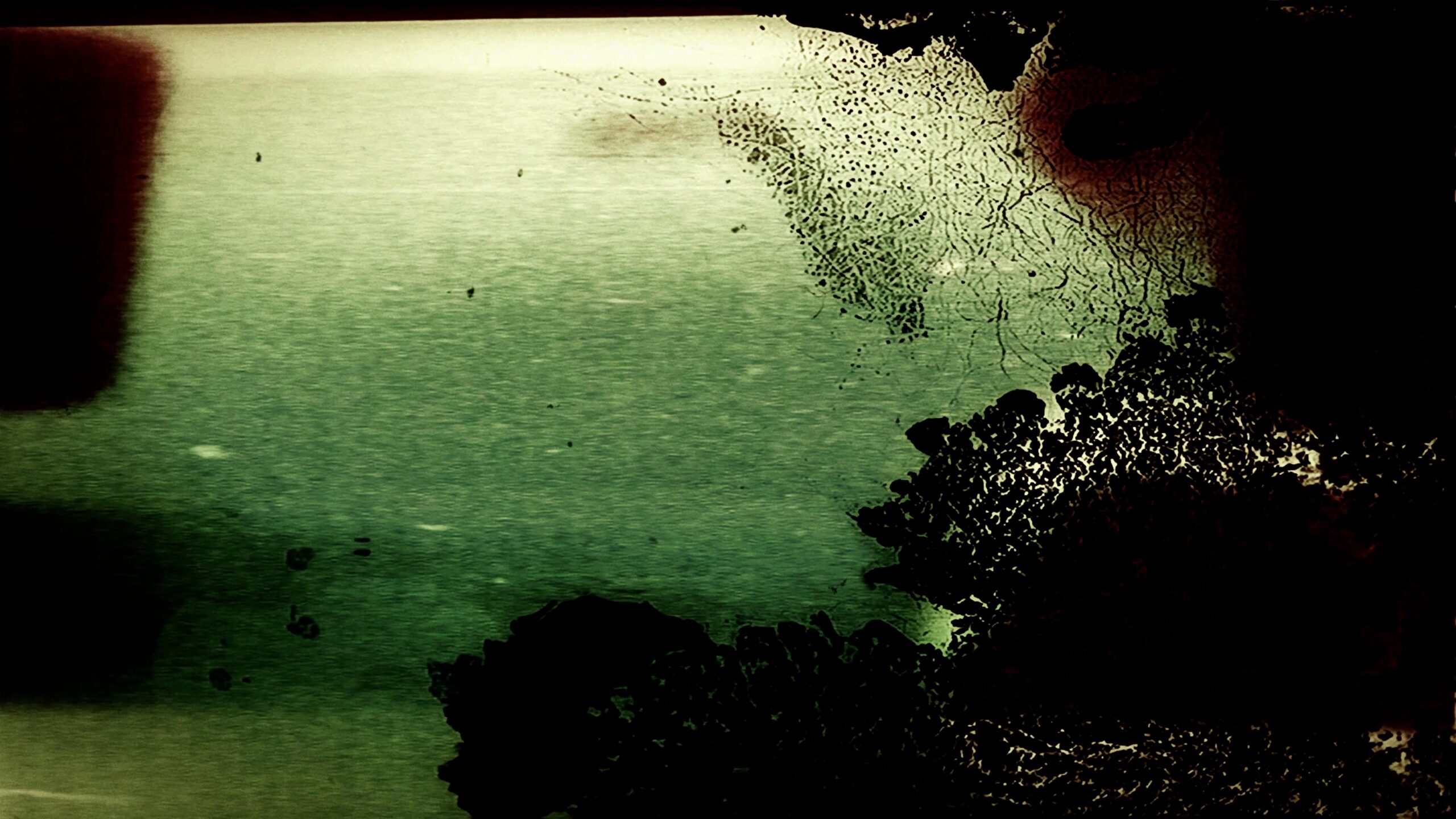 Fragmented Light Through Decay 4K Video Loop