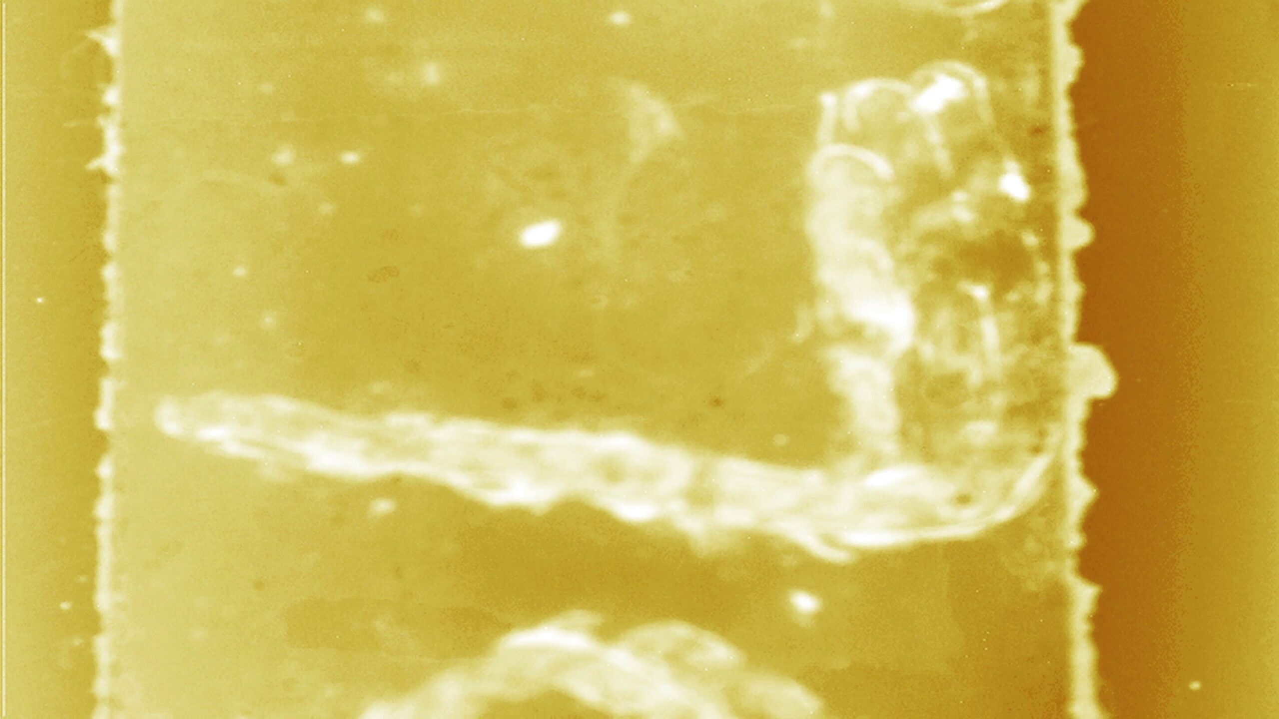 Vintage Cinematic Film Texture 4K Loop