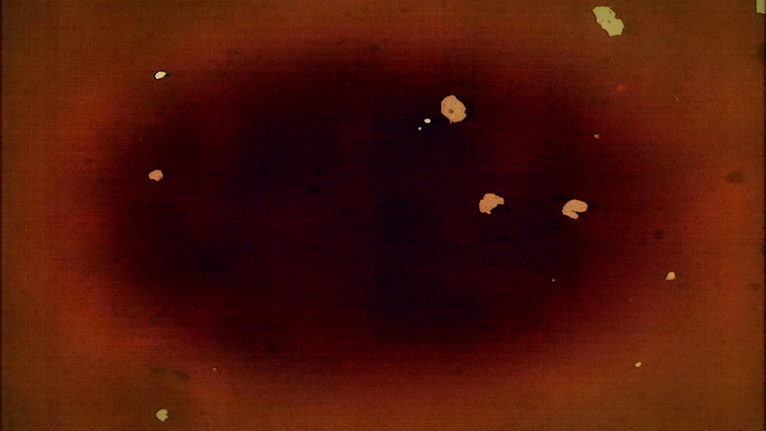 Crimson Dustfield Visions 4K Loop