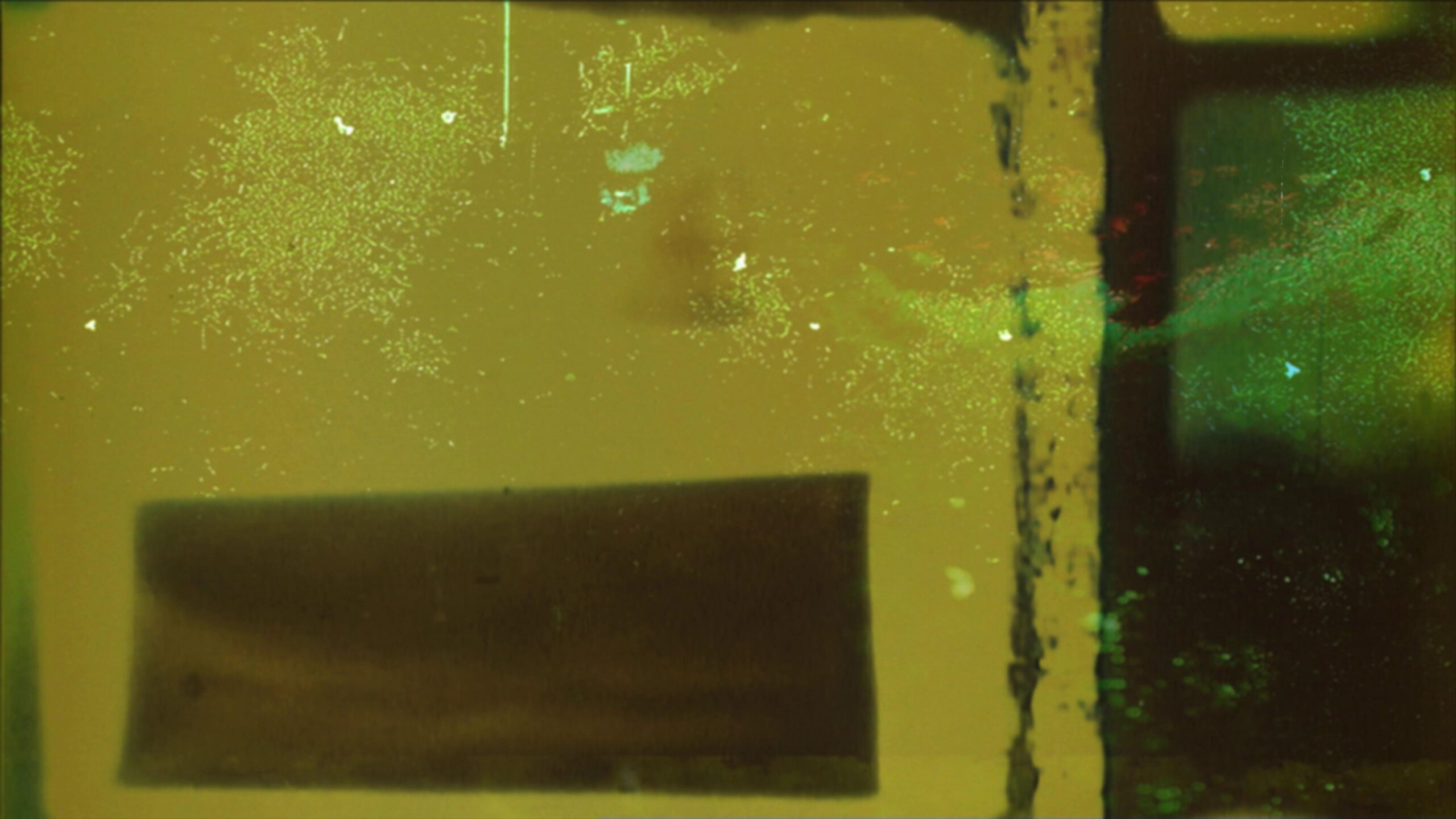 Vintage Cinematic Decay 4K Video Loop