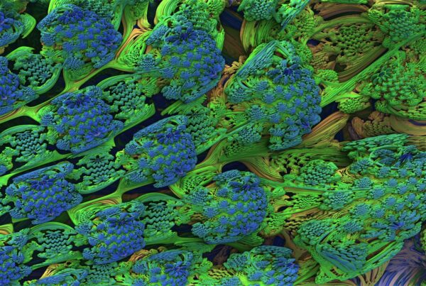 A vibrant HD video loop of an intricate fractal design featuring green and blue patterns resembling coral reefs and abstract flora, showcasing complex textures and a sense of infinite expansion.