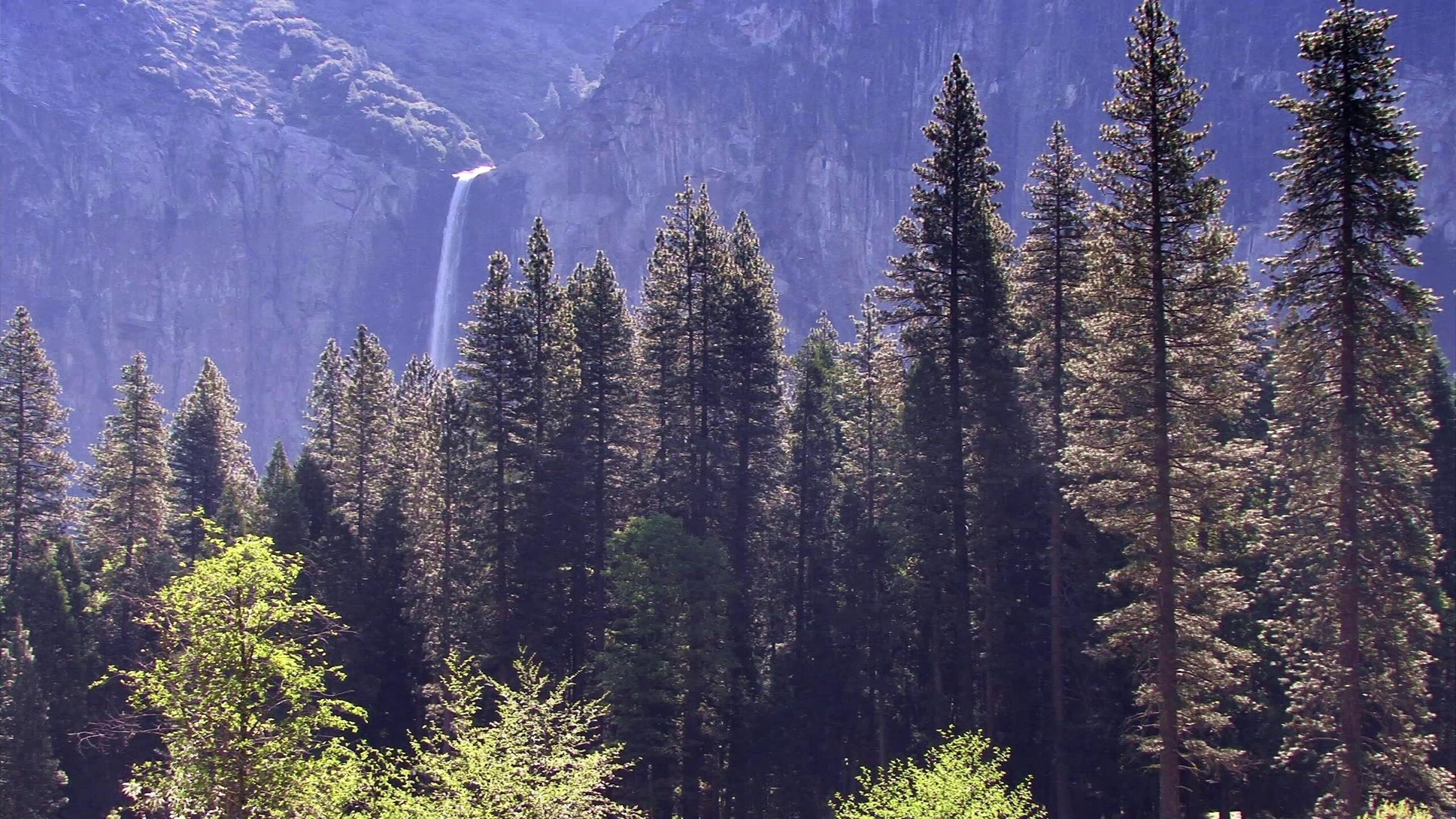 Majestic Waterfall Amidst Forest 4K Video