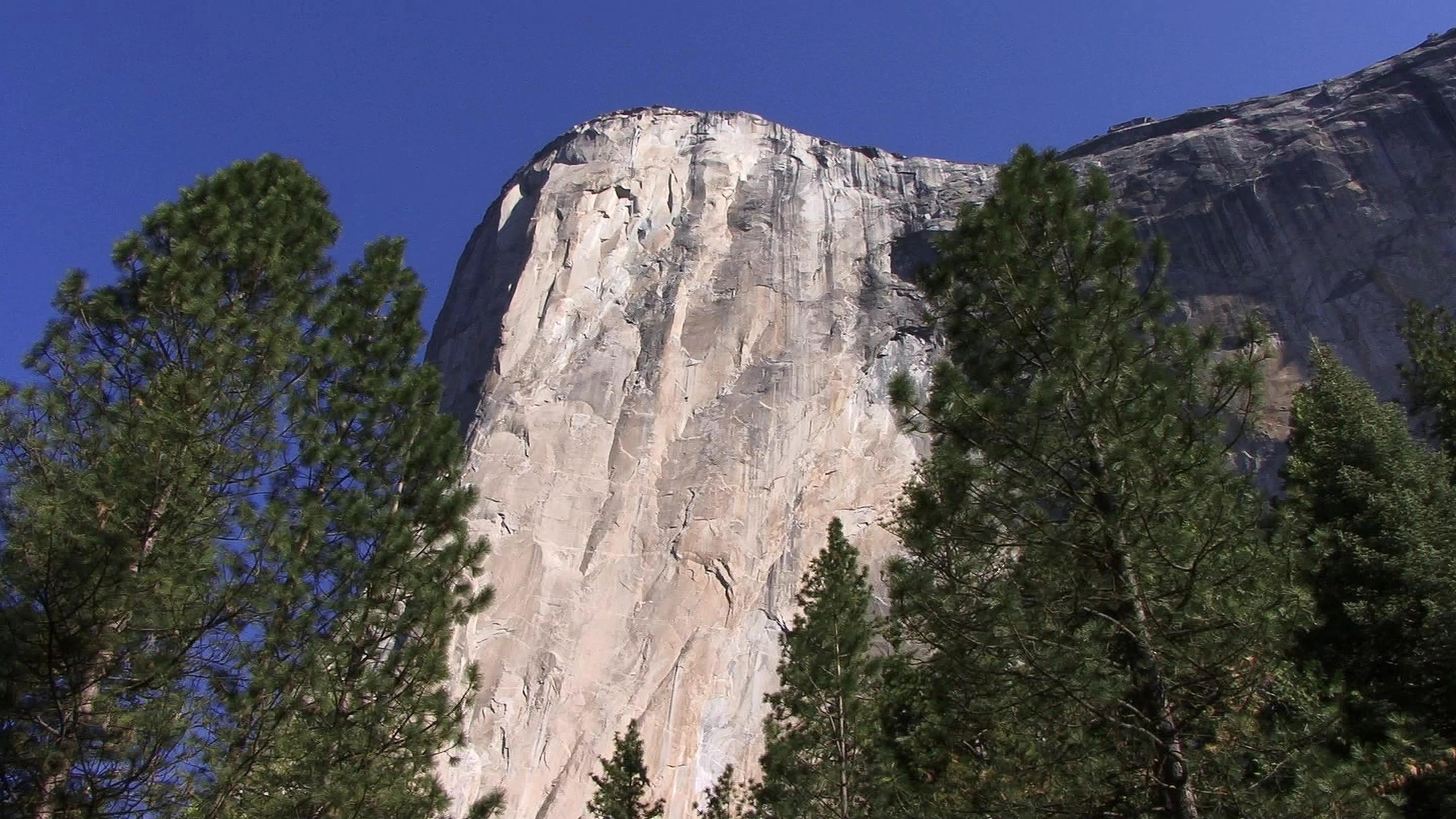 Majestic Rock Face Through Trees 4K Video