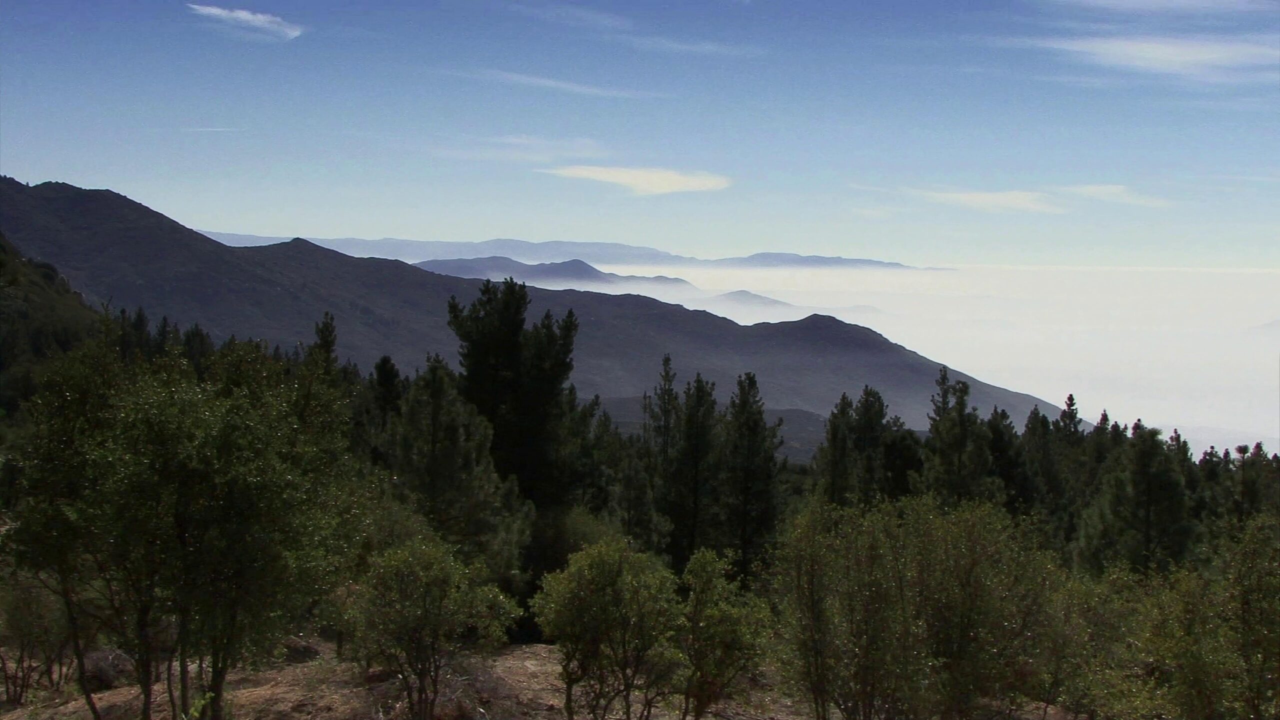 Mountain Valley Serene Landscape 4K Video