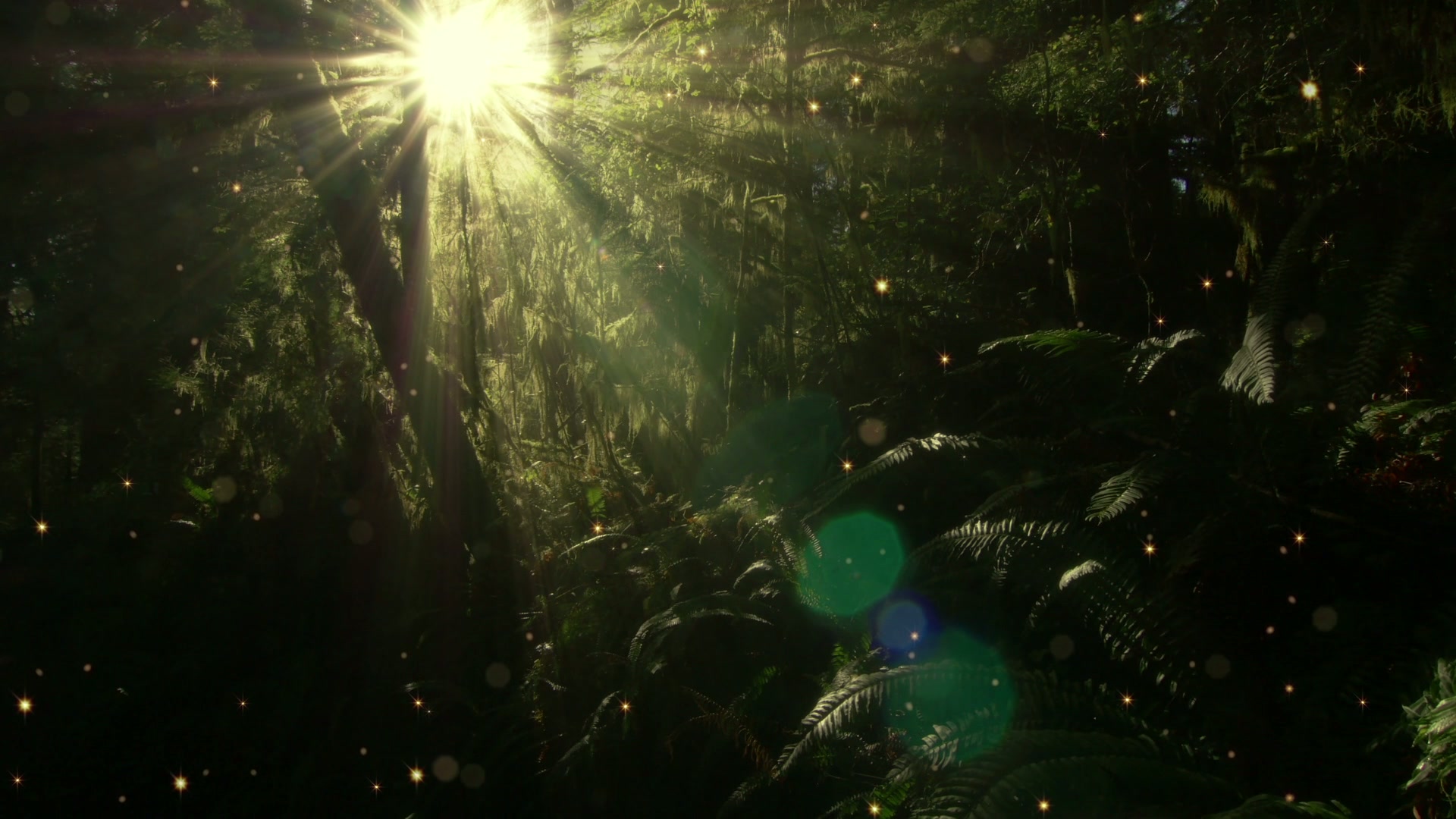 Sunlit Forest with Floating Sparkles