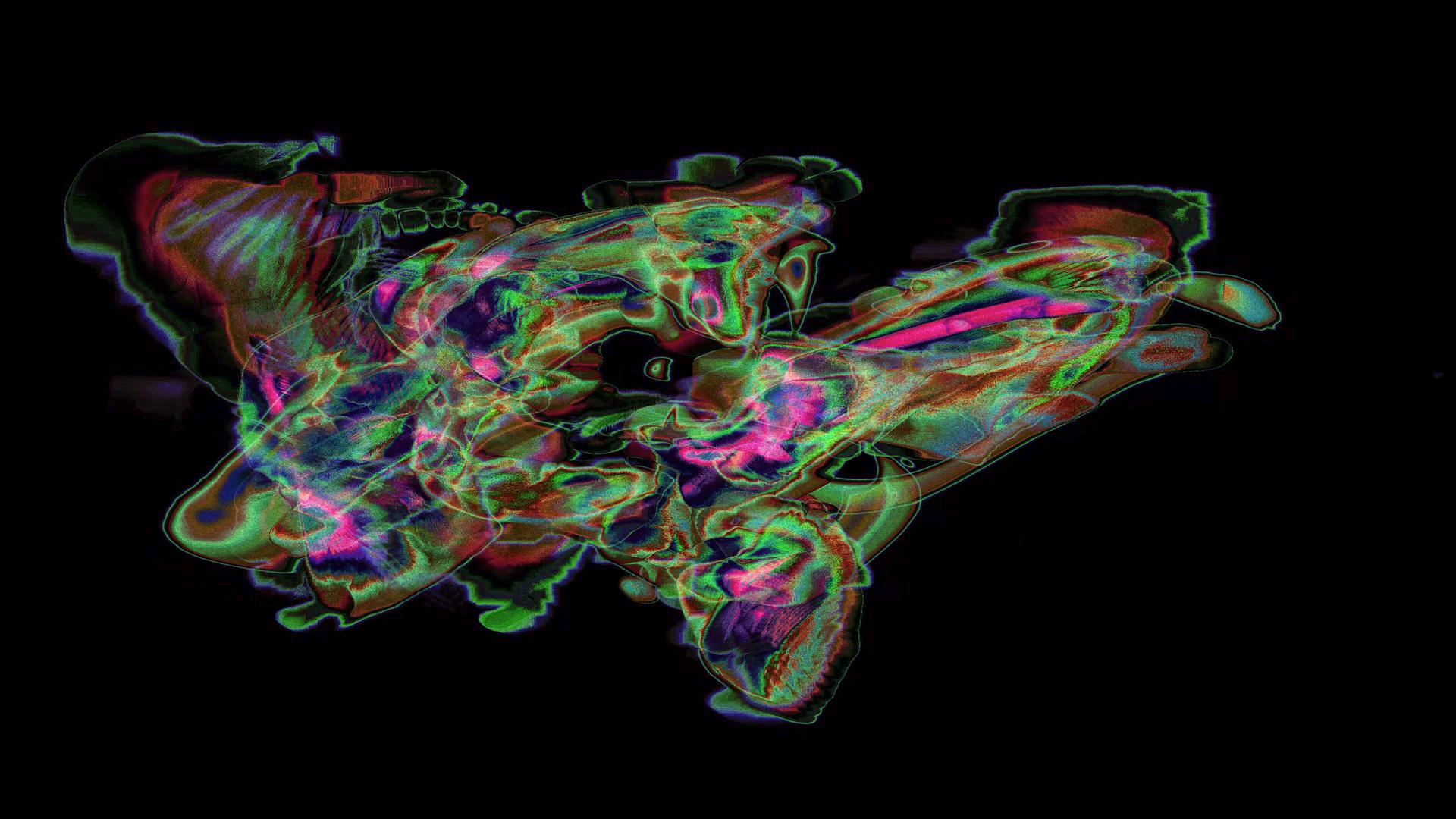 Colorful Neon Abstract Generative Art HD Loop