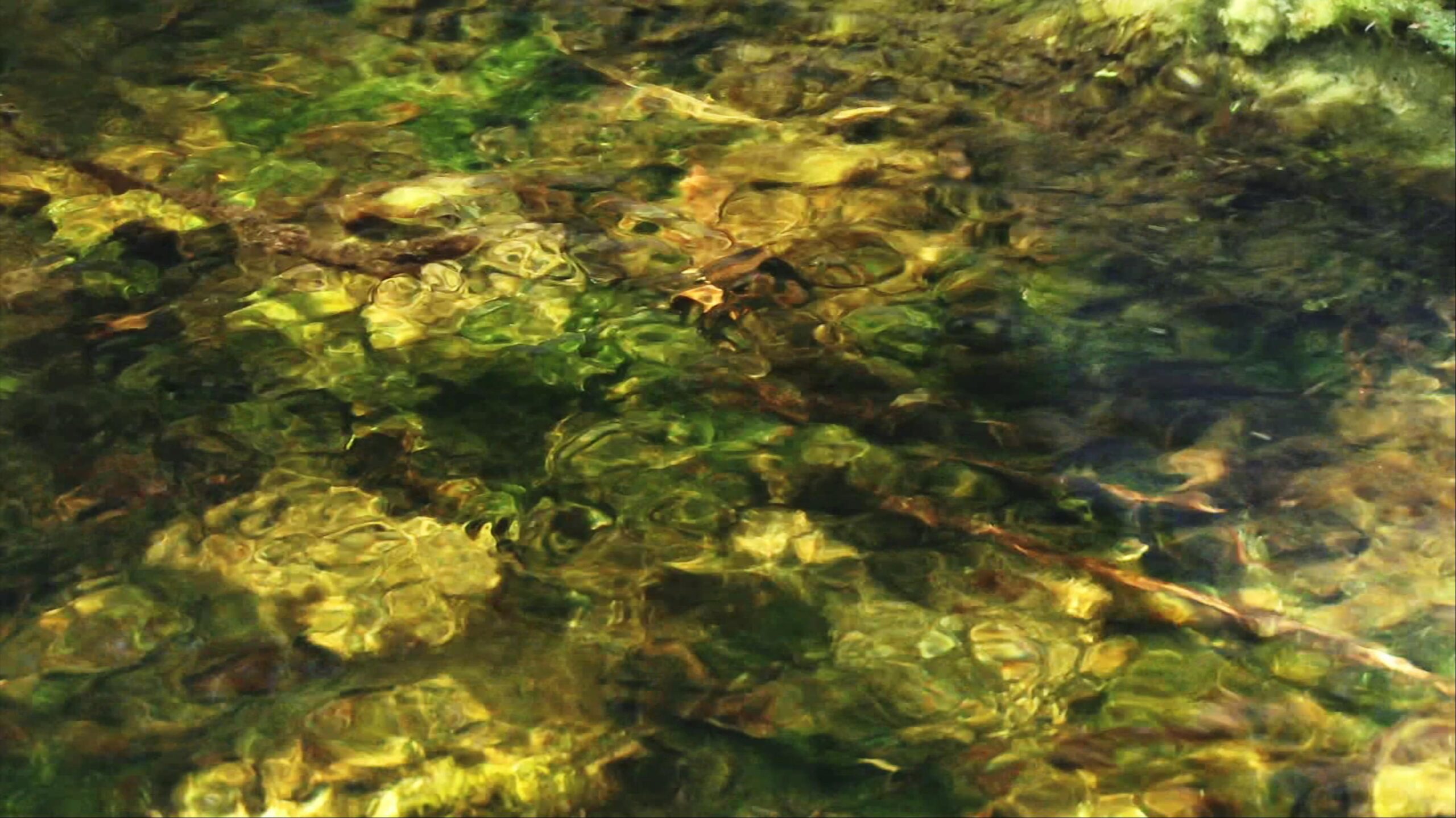 Serene Stream Stones and Ripples 4K Video